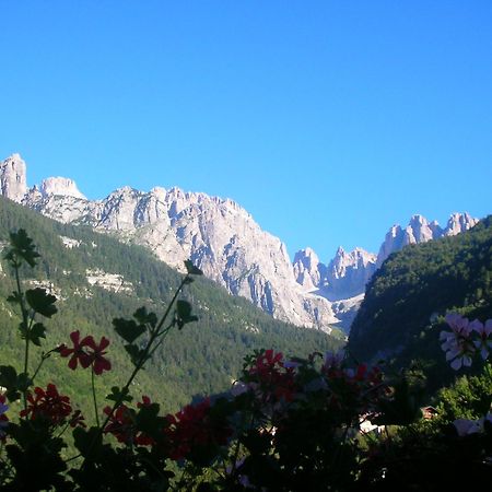 Garni Lago Alpino Molveno Exteriör bild
