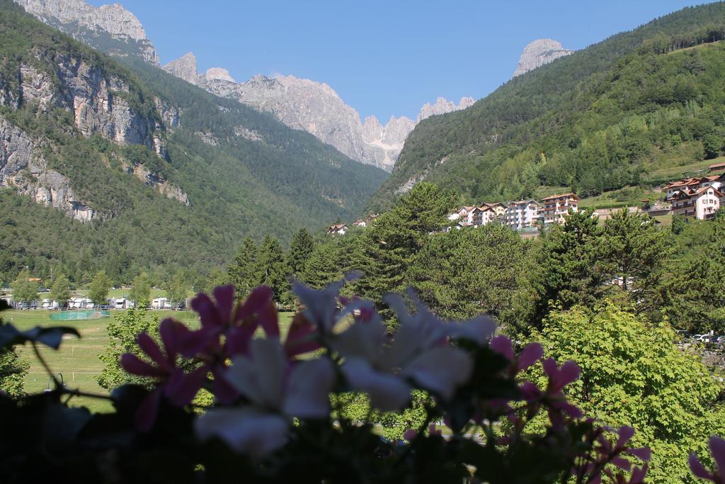 Garni Lago Alpino Molveno Rum bild